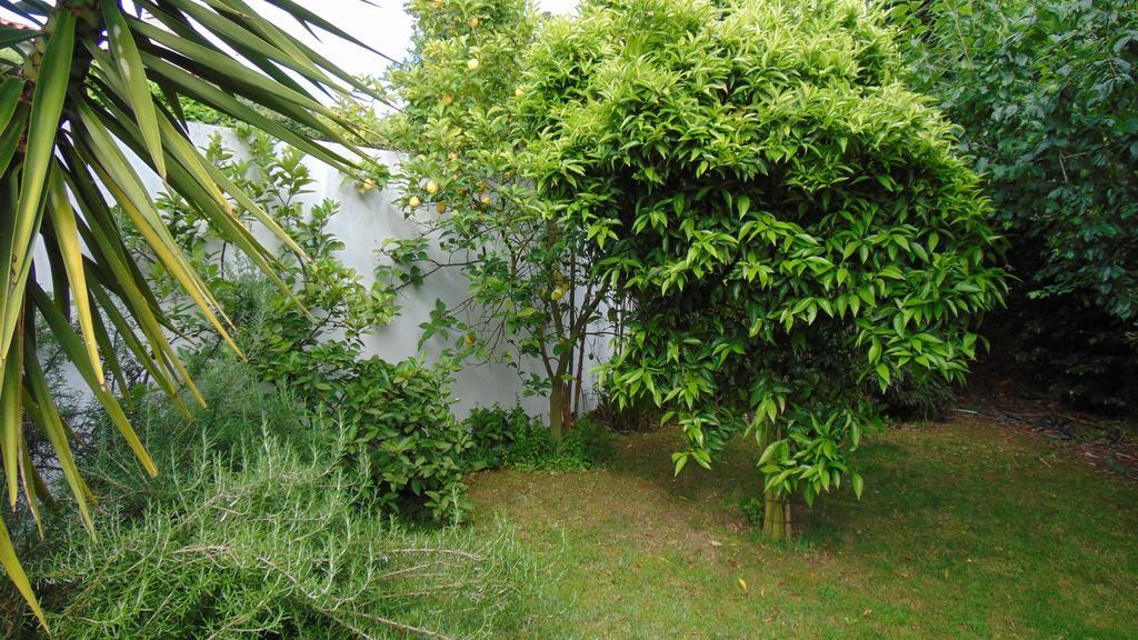 Casa Hébergement de vacances Landim